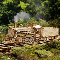 Thumbnail for Woods™ - Rakenna oma juna! - 3D puinen pienoisjuna